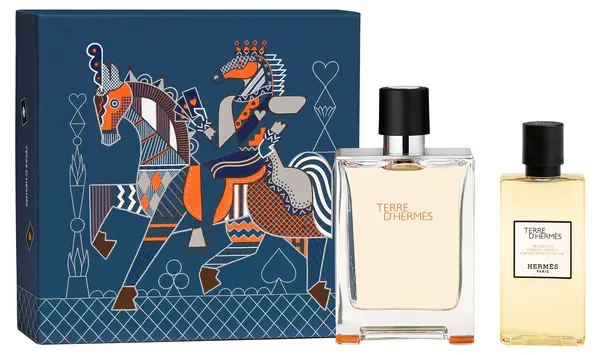 Hermes Terre d'Hermès Set - Apă de toaletă și Gel de duș, 100 + 80 ml