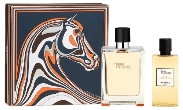 Hermes Terre d'Hermès Set - Apă de toaletă și gel de duș, 100 + 80 ml