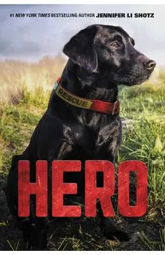 Hero - Jennifer Li Shotz
