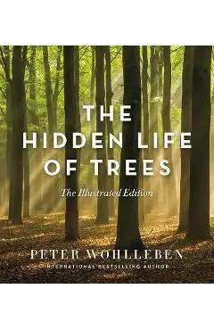 Hidden Life of Trees - Peter Wohlleben