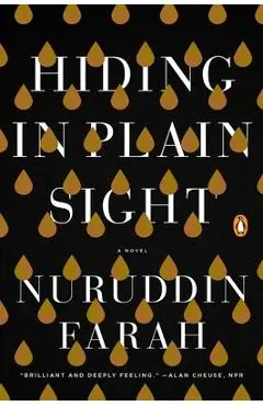 Hiding in Plain Sight - Nuruddin Farah