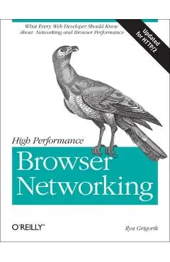 High Performance Browser Networking: What Every Web Developer Should Know about Networking and Web Performance - Ilya Grigorik