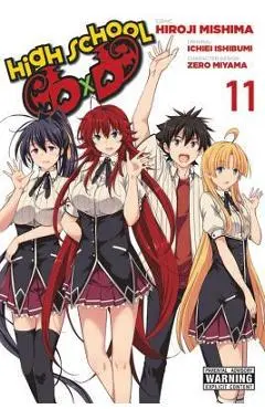 High School DXD, Vol. 11 - Hiroji Mishima