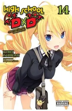 High School DXD, Vol. 14 (Light Novel) - Ichiei Ishibumi