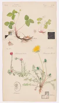 Hilma af Klint. What Stands Behind the Flowers, Hardback/***