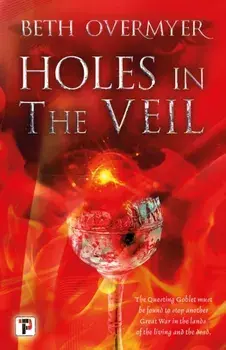 Holes in the Veil, Paperback/Beth Overmyer