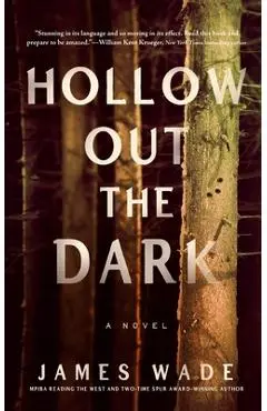Hollow Out the Dark - James Wade