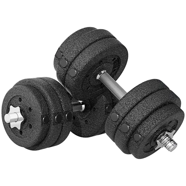 HOMCOM Set de Gantere 30 kg (8x2.5 kg, 4x1.5 kg) cu 12 Discuri și 2 Gantere de 2 kg, 43x18x7.5 cm, Negru | Aosom Romania