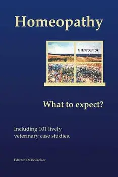 Homeopathy: What to Expect?, Paperback/Edward de Beukelaer