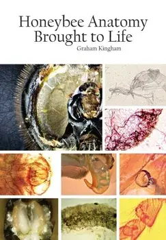 Honeybee Anatomy Brought to Life, Paperback/Graham Kingham