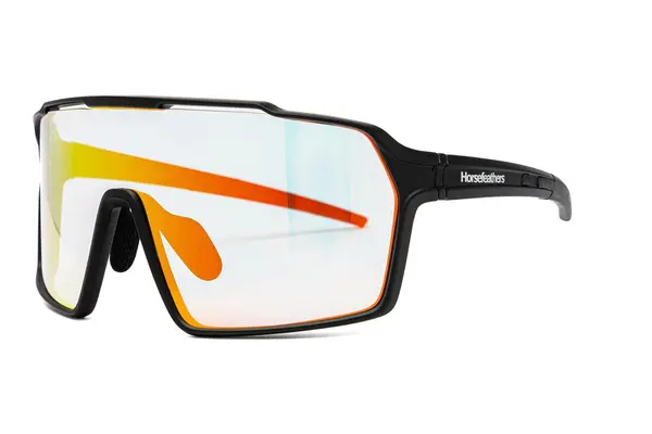 Horsefeathers Neutron Photochromic AM296B Photochromic