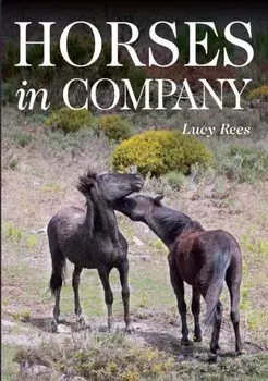 Horses in Company, Paperback/Lucy Rees