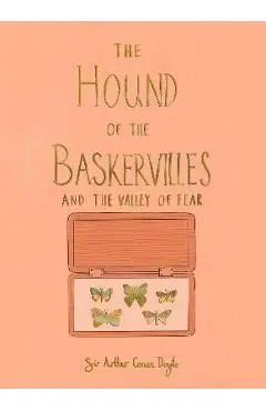 Hound of the Baskervilles & Valley of Fear (Collector's Edition) - Arthur Conan Doyle