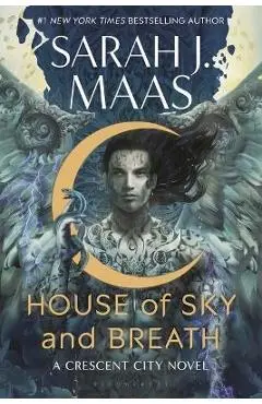 House of Sky and Breath - Sarah J. Maas