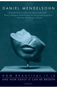 How Beautiful It Is and How Easily It Can Be Broken: Essays - Daniel Mendelsohn