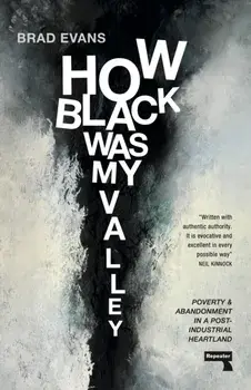 How Black Was My Valley. Poverty and Abandonment in a Post-Industrial Heartland, New ed, Paperback/Brad Evans