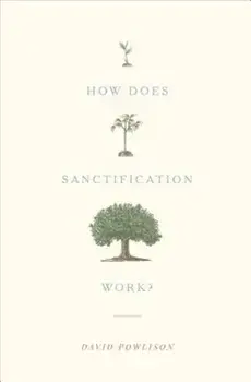 How Does Sanctification Work', Paperback/David Powlison