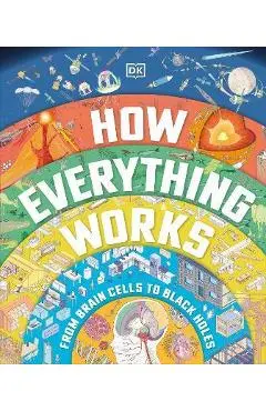 How Everything Works: From Brain Cells to Black Holes - Dk