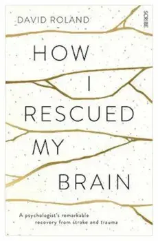 How I Rescued My Brain, Paperback/David Roland
