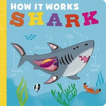 How it Works: Shark, Board book/Molly Littleboy