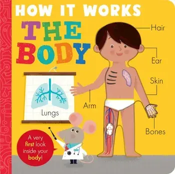 How it Works: The Body, Board book/Amelia Hepworth