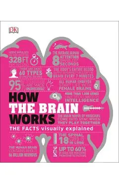 How the Brain Works: The Facts Visually Explained - Dk