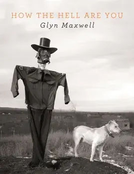 How The Hell Are You, Paperback/Glyn Maxwell