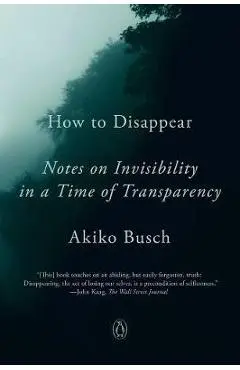 How To Disappear - Akiko Busch