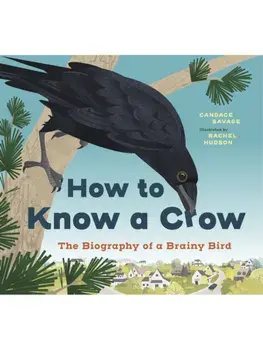 How to Know a Crow. The Biography of a Brainy Bird, Paperback/Candace Savage