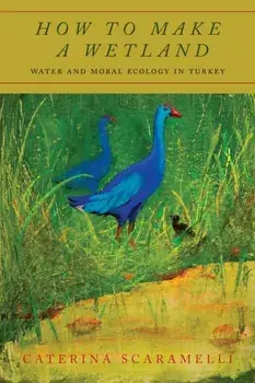 How to Make a Wetland: Water and Moral Ecology in Turkey, Paperback/Caterina Scaramelli
