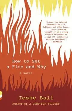 How to Set a Fire and Why - Jesse Ball