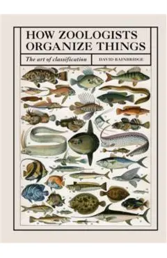 How Zoologists Organize Things - David Bainbridge