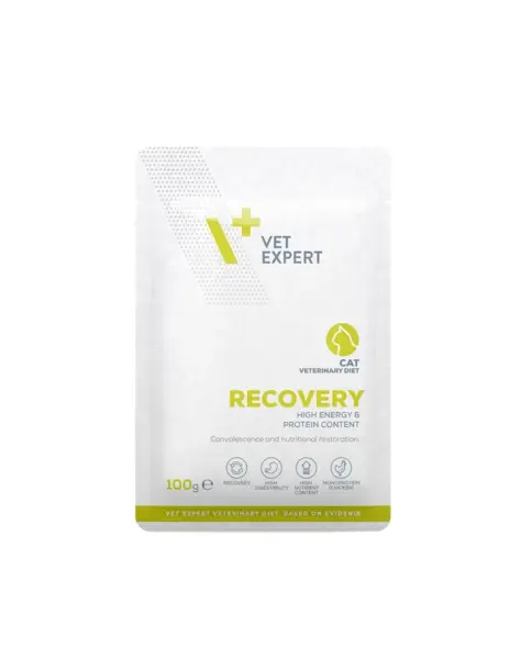 Hrana dietetica pentru pisici Recovery VetExpert 100 gr