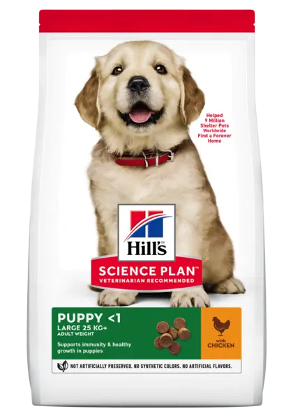 Hrana uscata caini, Hill's Science Plan Canine Puppy Large Breed Chicken, 2.5 kg