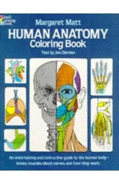 Human Anatomy