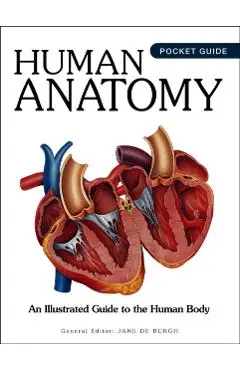 Human Anatomy -
