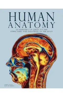 Human Anatomy -