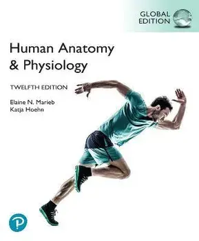 Human Anatomy & Physiology, Global Edition. 12 ed, Paperback/Katja Hoehn