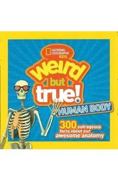 Human Body