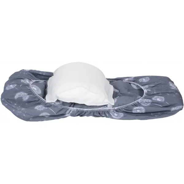 Husa protectie scoica auto cu reductor Dandelion SeviBebe