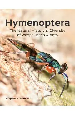 Hymenoptera: The Natural History and Diversity of Wasps, Bees and Ants - Stephen A. Marshall