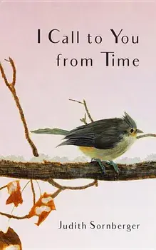 I Call to You from Time, Paperback/Judith Sornberger