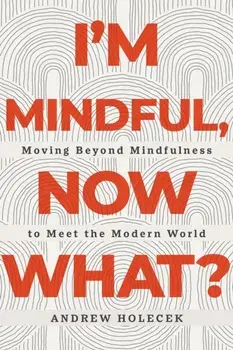 I'm Mindful, Now What?. Moving Beyond Mindfulness to Meet the Modern World, Paperback/Andrew Holecek