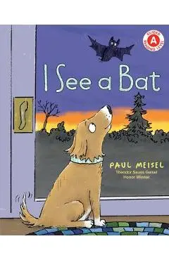 I See a Bat - Paul Meisel