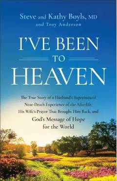 I've Been to Heaven - Steve|boyls Boyls