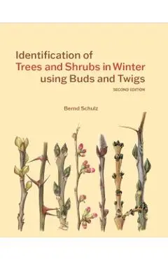 Identification of Trees and Shrubs in Winter using Buds and Twigs - Bernd Schulz