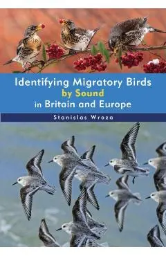 Identifying Migratory Birds by Sound in Britain and Europe - Stanislas Wroza