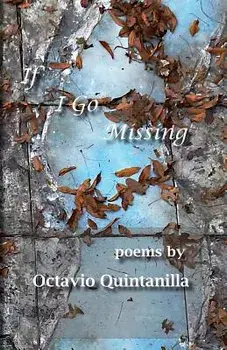 If I Go Missing, Paperback/Octavio Quintanilla