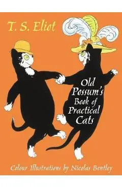 Illustrated Old Possum