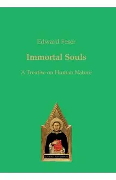 Immortal Souls: A Treatise on Human Nature - Edward Feser